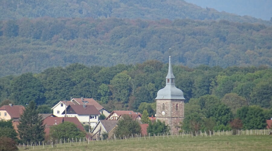 Territoire de Belfort : La construction bois, une solution d’avenir pour le département